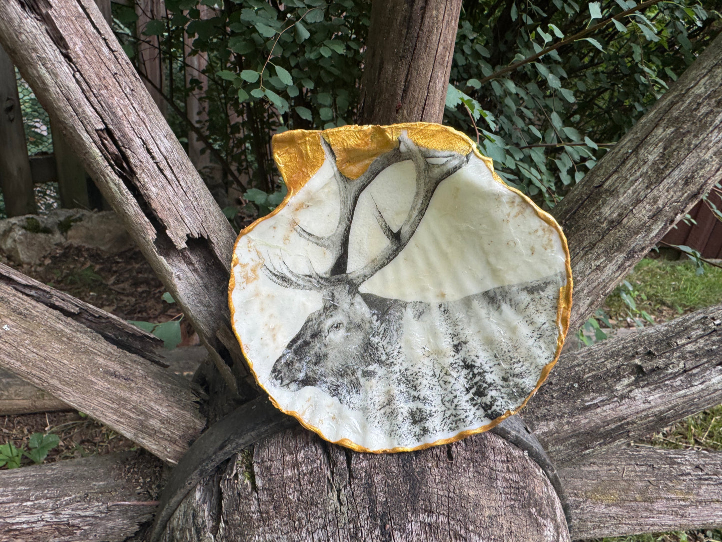 The Mountains Are Calling! PURCHASE THE SET!