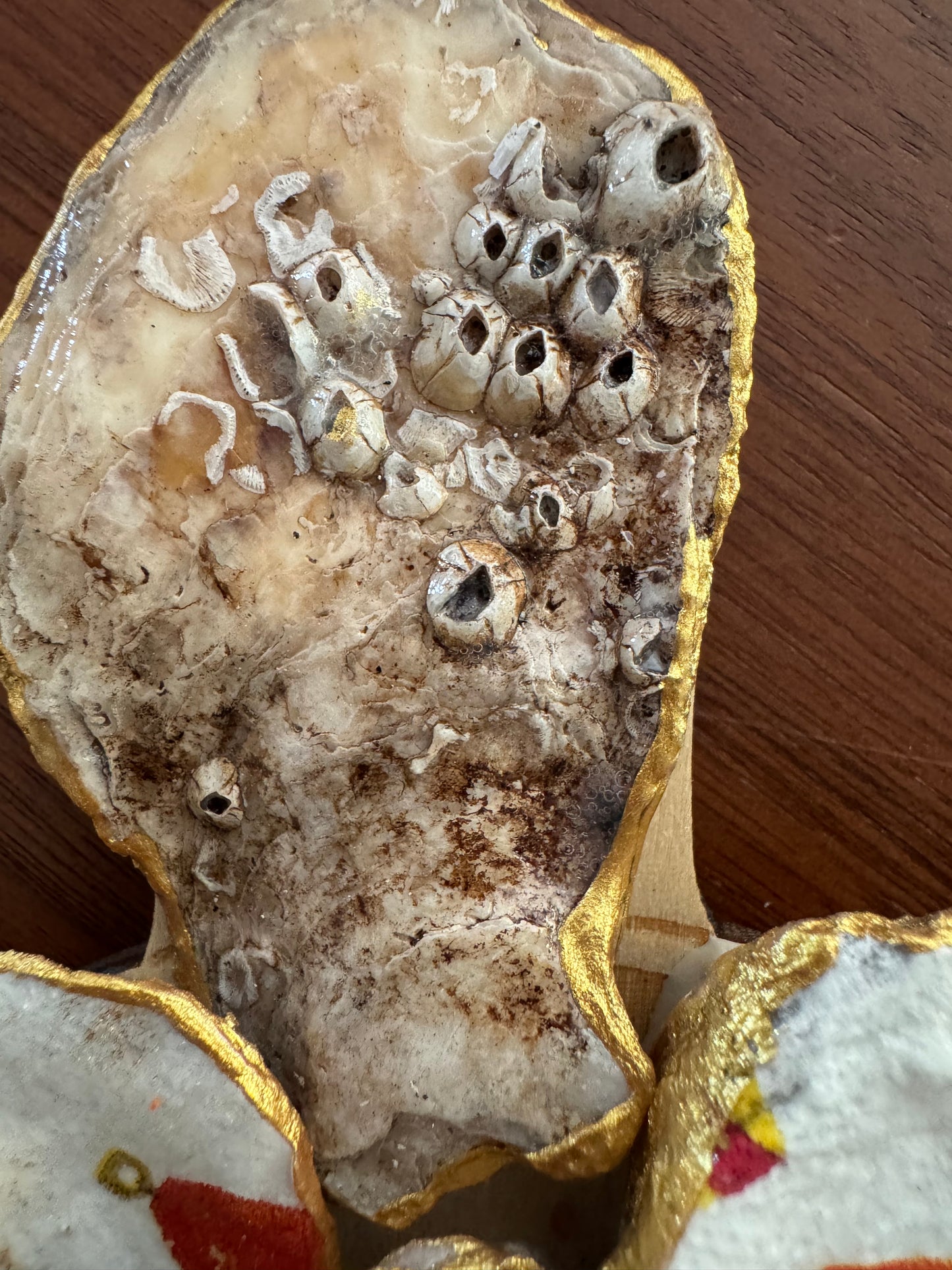 Nautical Flag Oyster Turtle