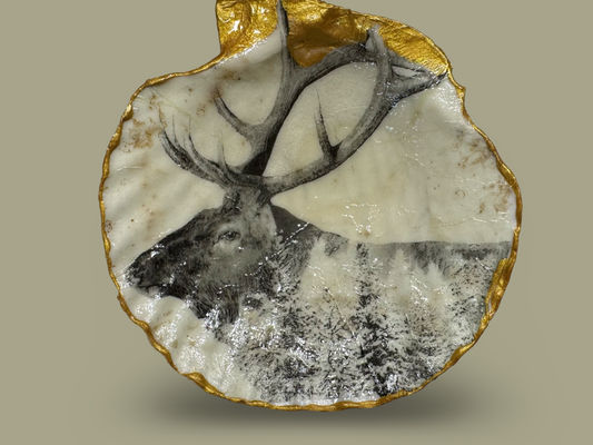 Large elk, scallop shell, the beauty of nature and the mountains
