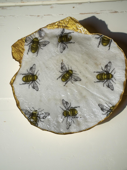 Nature buzzes with Bumblebees on large scallop shell