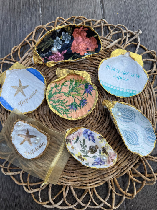 Collections of Various Designs of Oyster and Scallop Shell