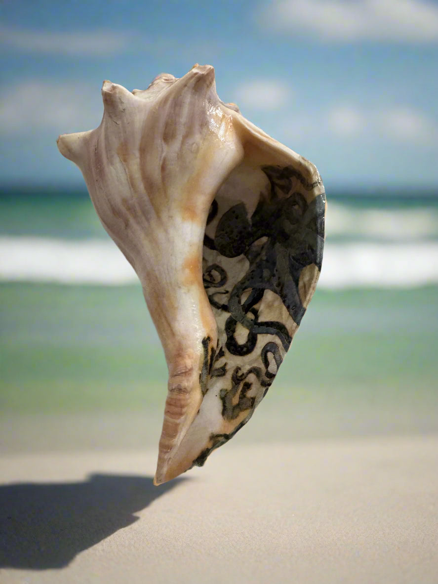 Conch Shells with Crawling Octopus Guest